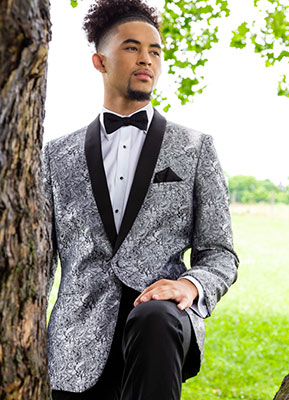 Platinum Aries Paisley